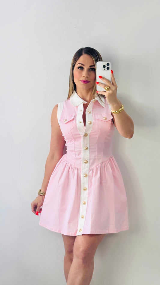 Charlotte Pink Dress