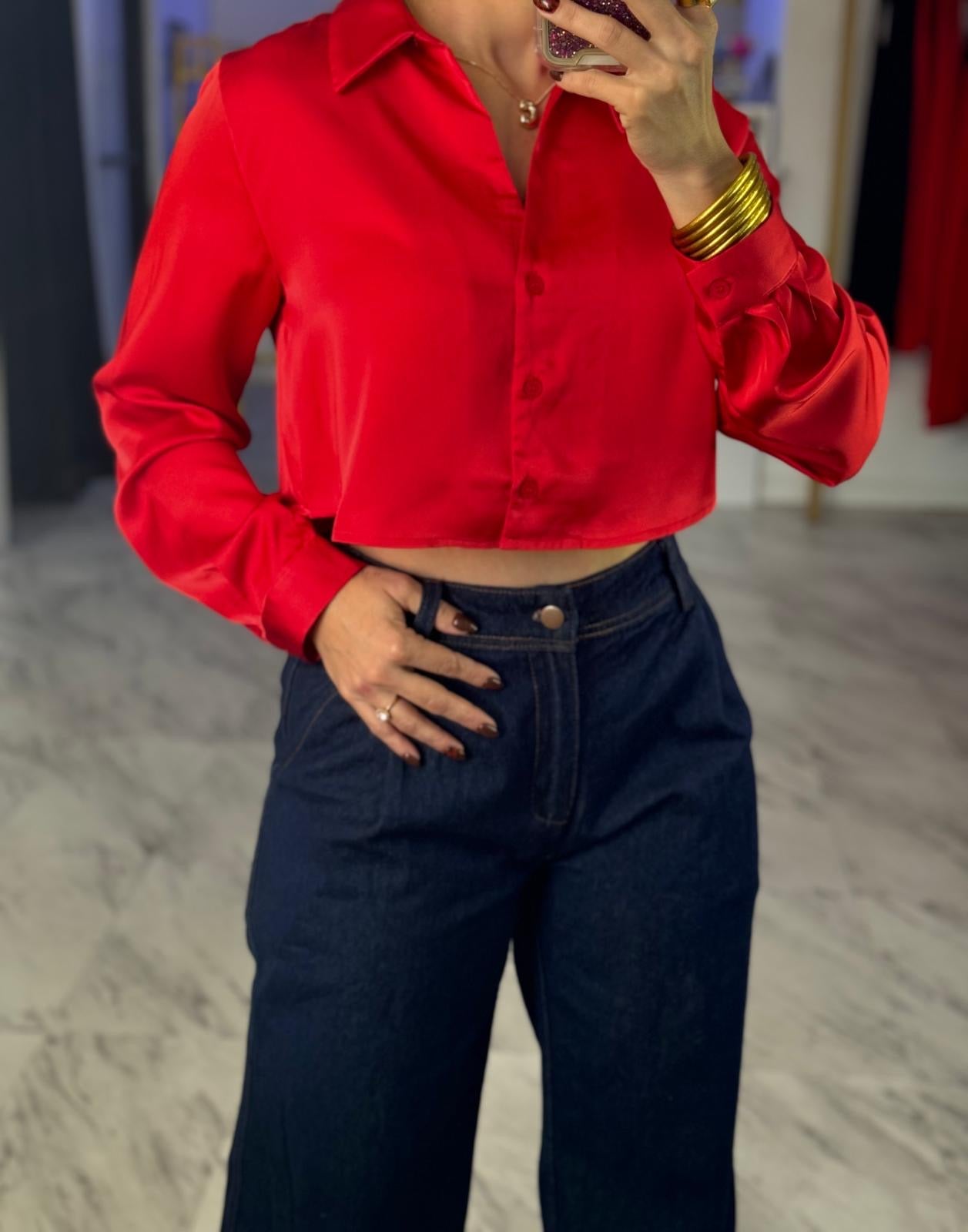 Christmas Crop Blouse