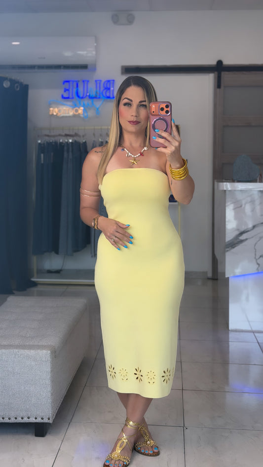 Cata Midi Dress🌼